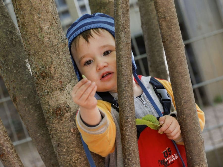 FitKids Krippe: Kleinkind entdeckt hinter einem Baum ein Blatt